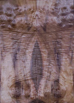myrtlewood burl 18
